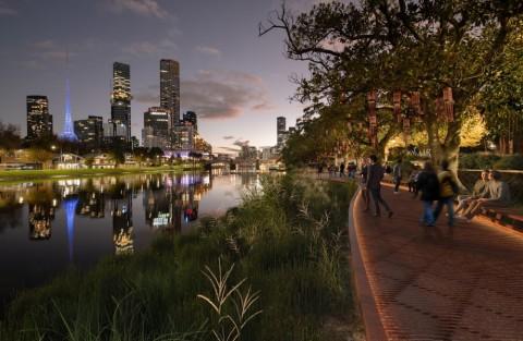 A render of the Fig Tree Boardwalk, one of the contemporary spaces that will be part of Site 1 at Birrarung Marr in Greenline Project.