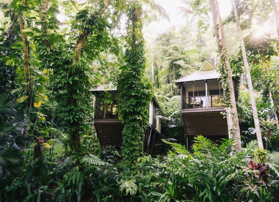 Daintree Ecolodge Up For Sale hero