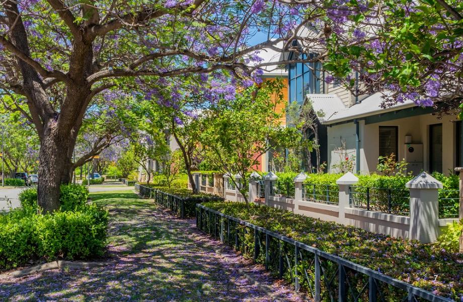 The number of auctions held in Brisbane has tripled and Canberra has overtaken Melbourne as the auction capital as demand continues to transform the market