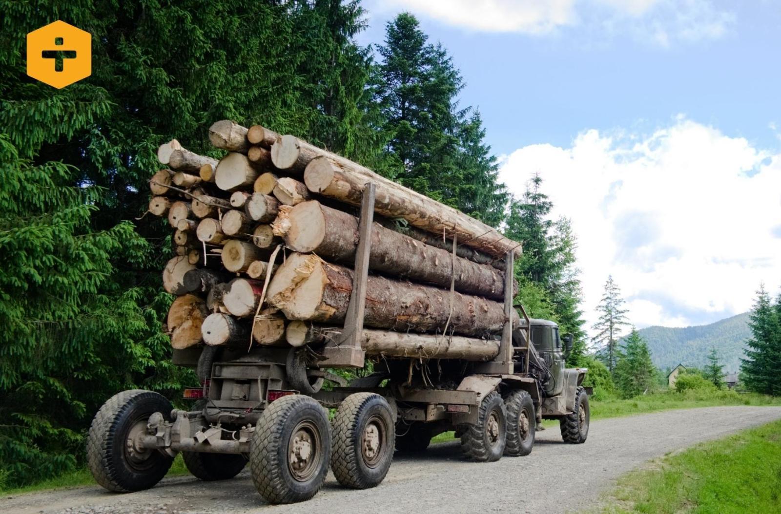 [+] Ukraine conflict timber supplies hero